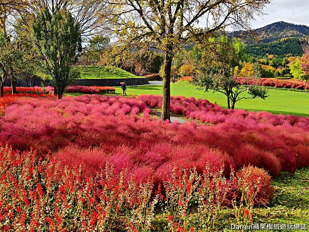 由仁花園,北海道景點,波波草,Yuni Garden