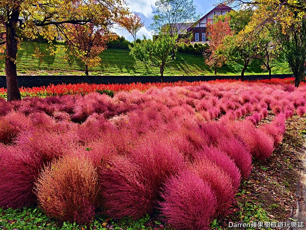 由仁花園,北海道景點,波波草,Yuni Garden