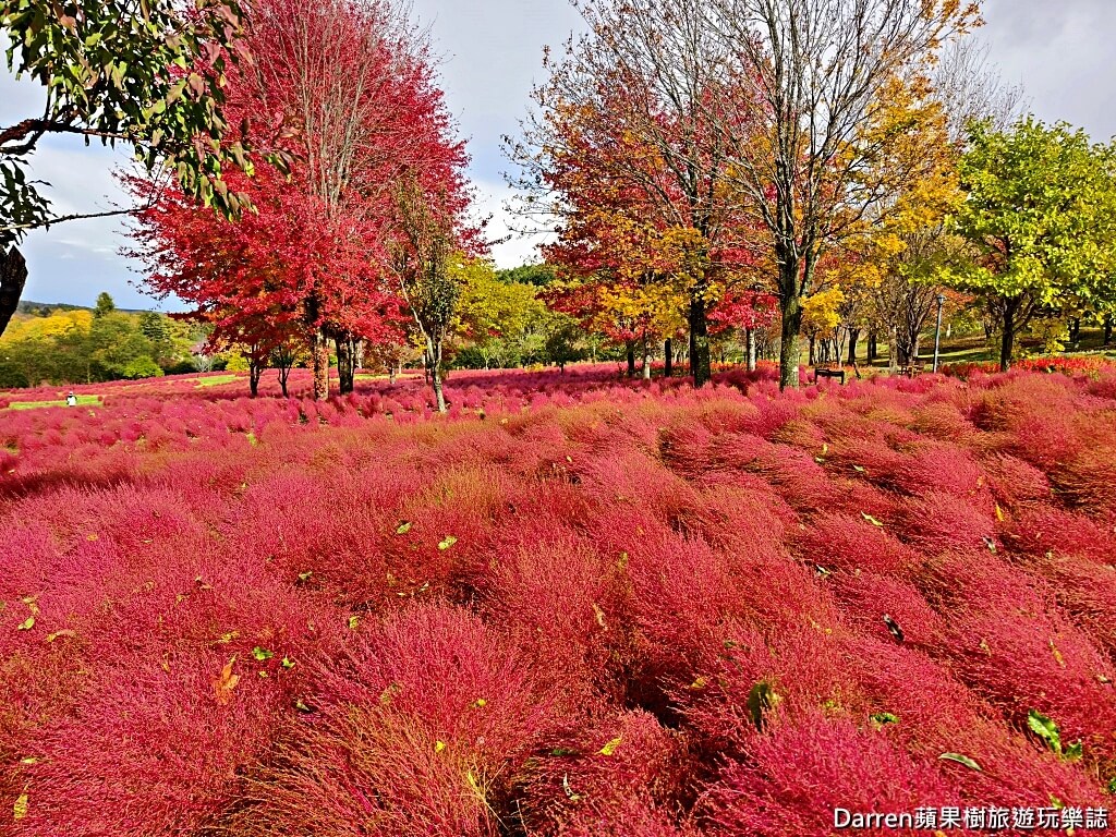 由仁花園,北海道景點,波波草,Yuni Garden