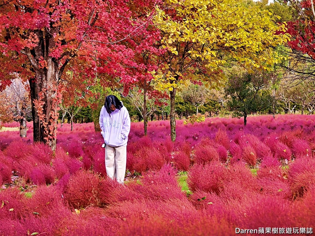 由仁花園,北海道景點,波波草,Yuni Garden