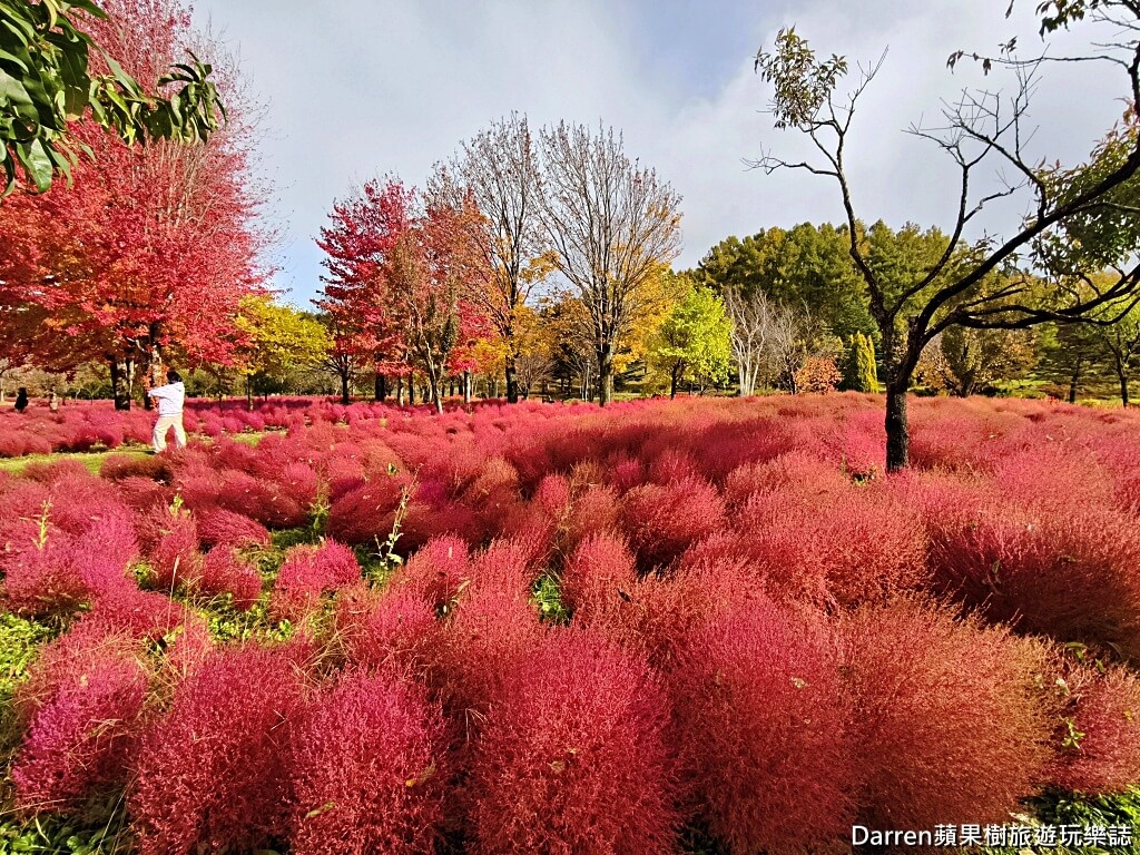由仁花園,北海道景點,波波草,Yuni Garden