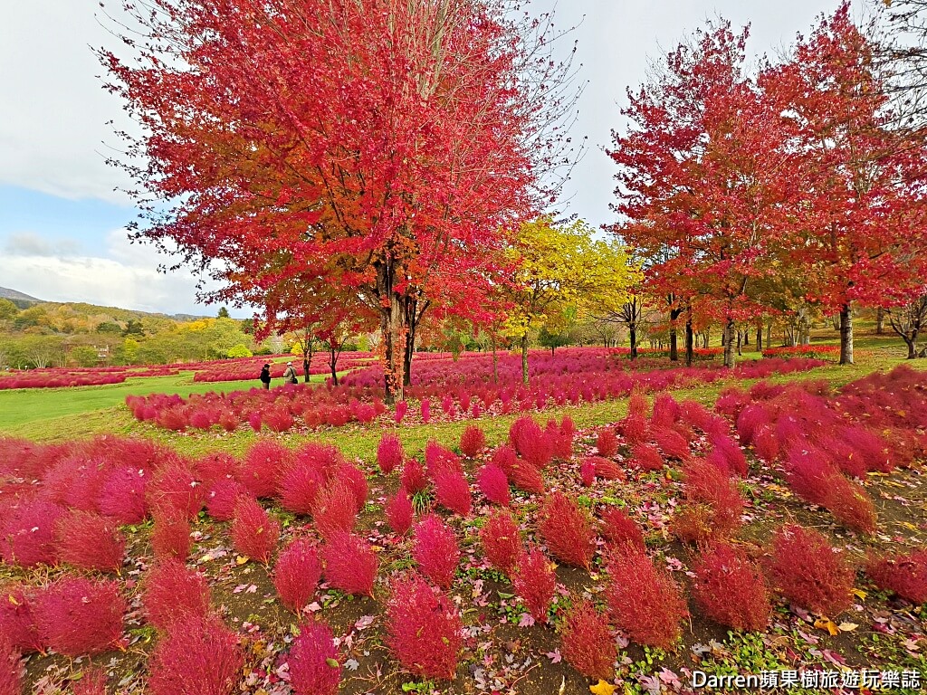 由仁花園,北海道景點,波波草,Yuni Garden