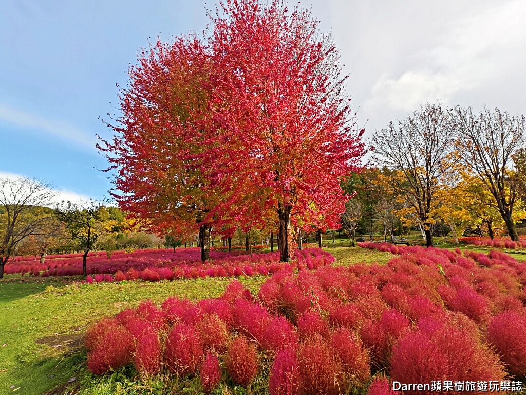 由仁花園,北海道景點,波波草,Yuni Garden