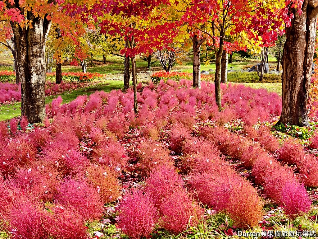 由仁花園,北海道景點,波波草,Yuni Garden