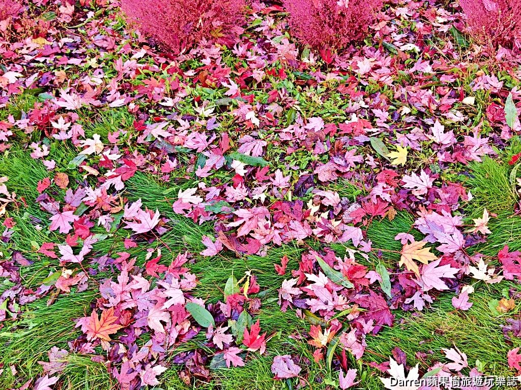 由仁花園,北海道景點,波波草,Yuni Garden