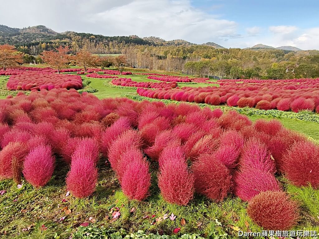 由仁花園,北海道景點,波波草,Yuni Garden