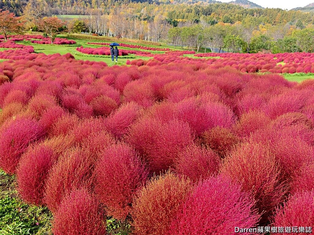 由仁花園,北海道景點,波波草,Yuni Garden