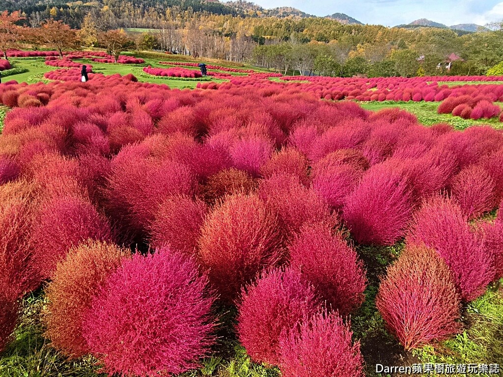 由仁花園,北海道景點,波波草,Yuni Garden