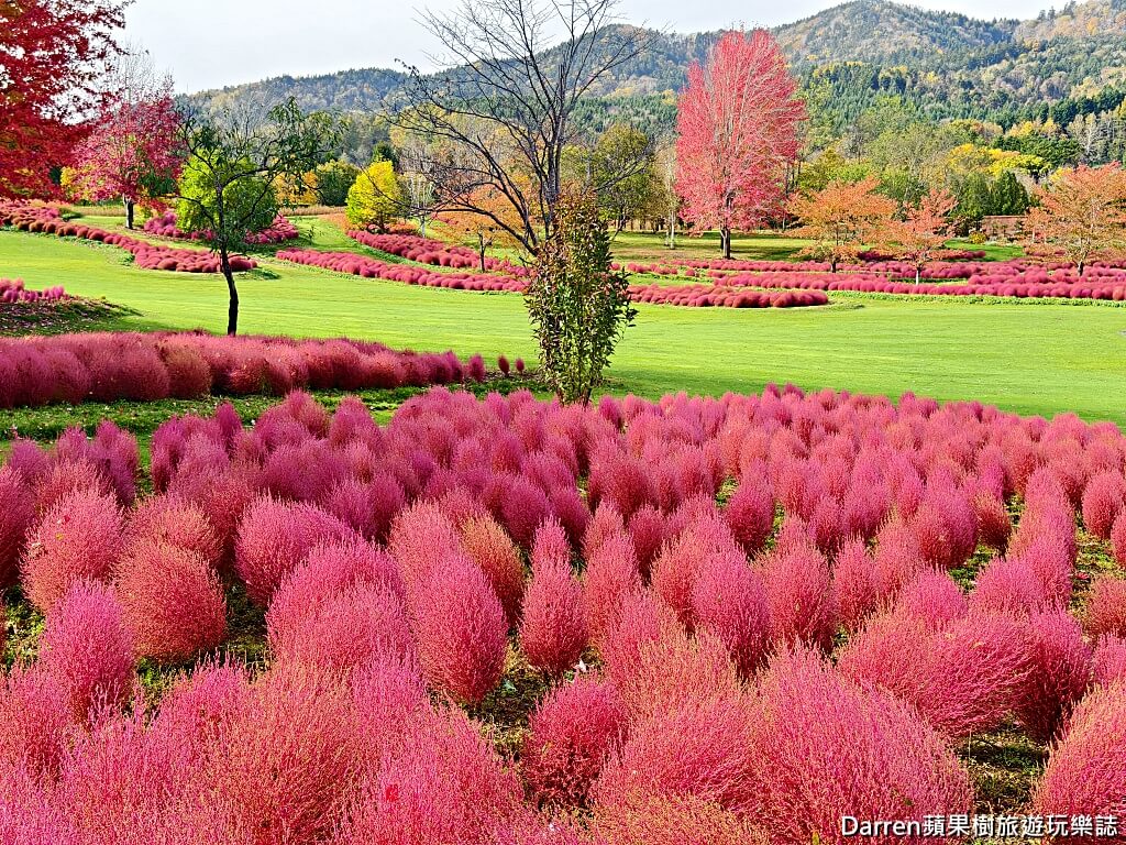由仁花園,北海道景點,波波草,Yuni Garden