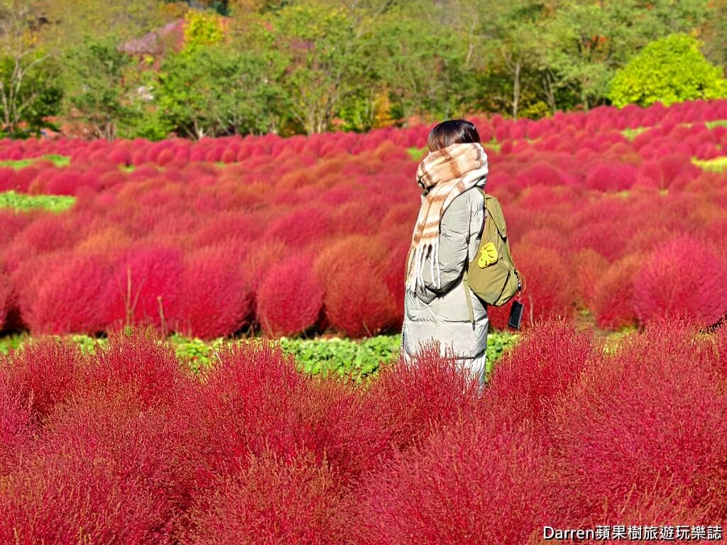 由仁花園,北海道景點,波波草,Yuni Garden
