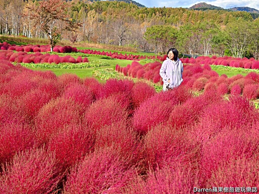 由仁花園,北海道景點,波波草,Yuni Garden