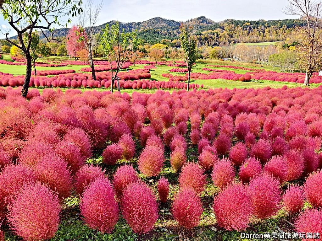 由仁花園,北海道景點,波波草,Yuni Garden