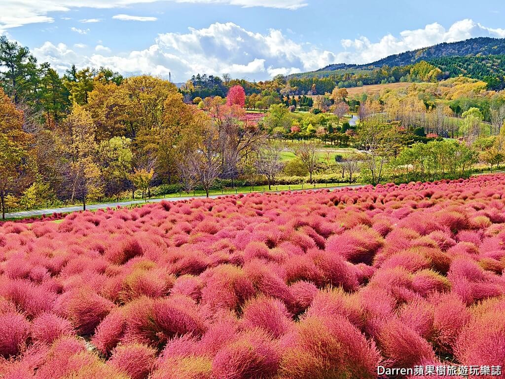 由仁花園,北海道景點,波波草,Yuni Garden