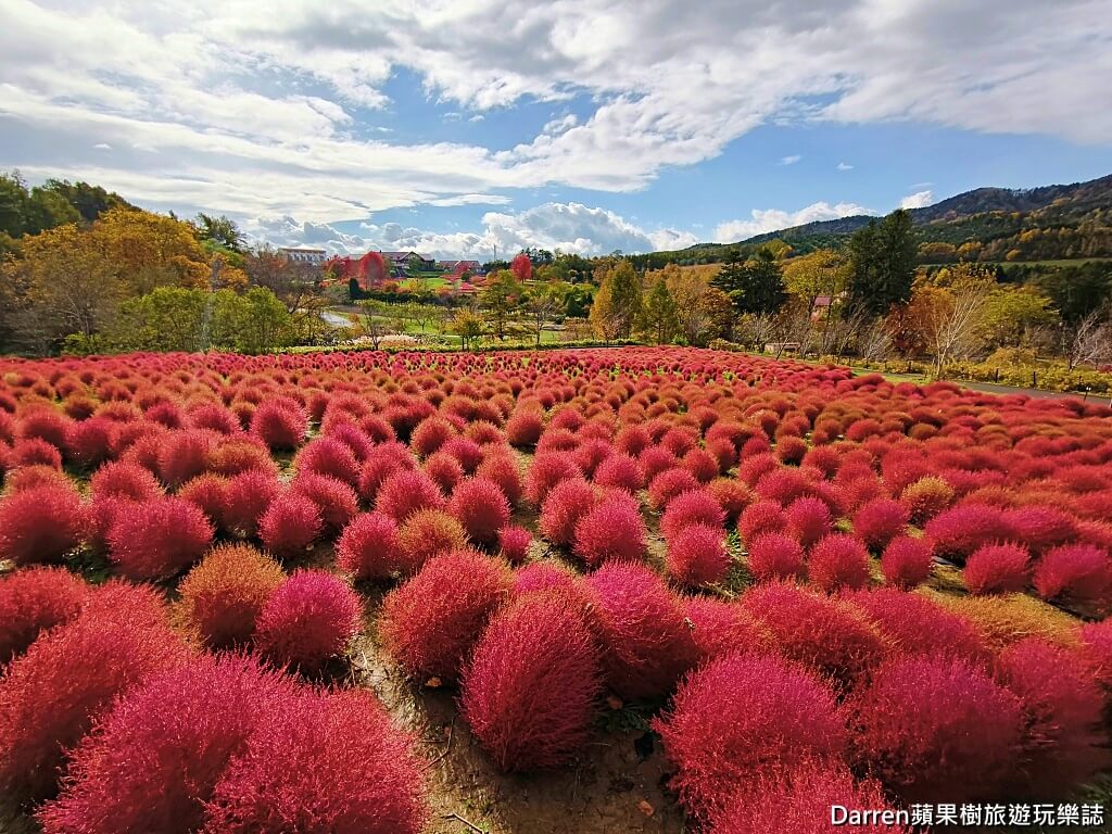 由仁花園,北海道景點,波波草,Yuni Garden