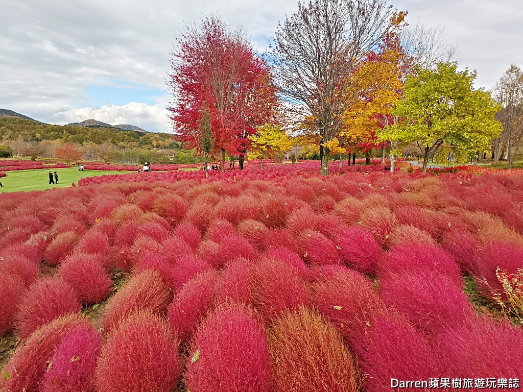 由仁花園,北海道景點,波波草,Yuni Garden