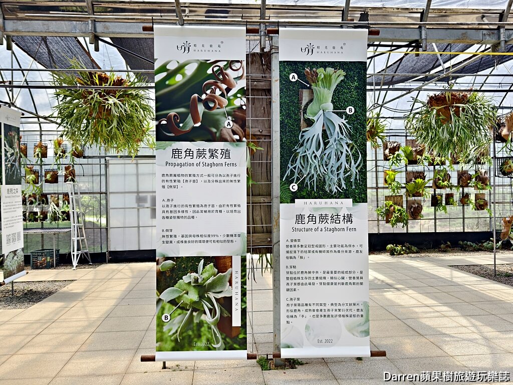 晴花鹿苑,淡水景點,鹿角蕨園,日式景觀咖啡廳,淡水親子景點