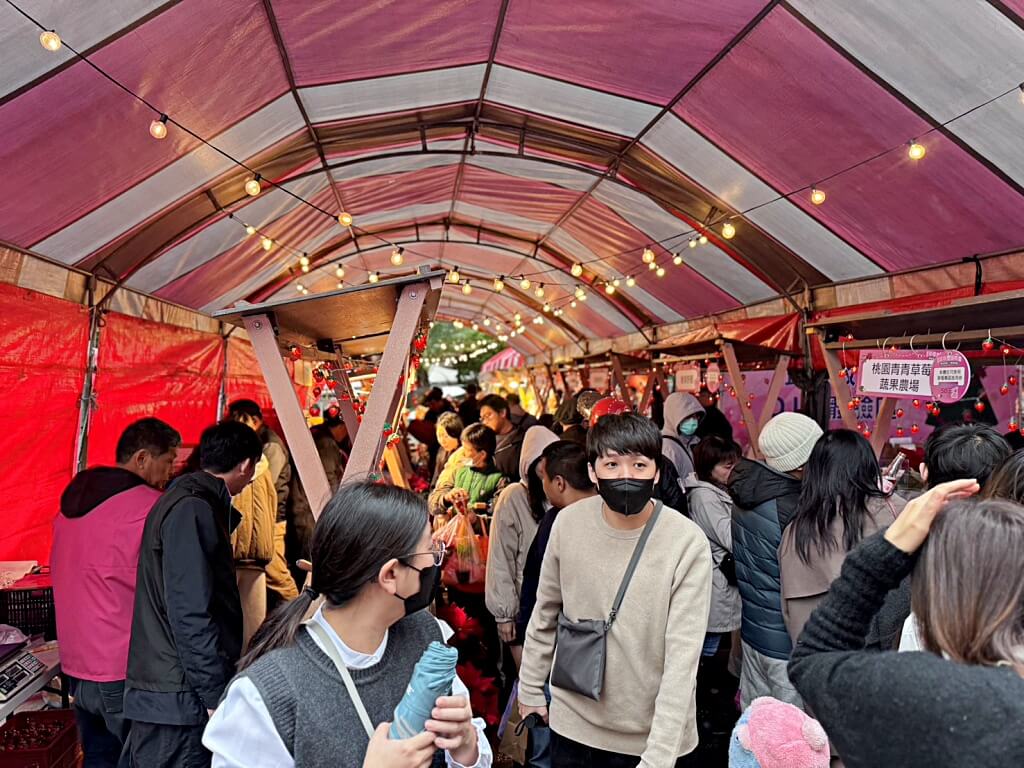 桃園草莓懶人包,桃園採草莓,中壢草莓農場,桃園親子採草莓推薦,中壢高架草莓農場,桃園智慧農業草莓,桃園草莓季景點,桃園草莓DIY體驗