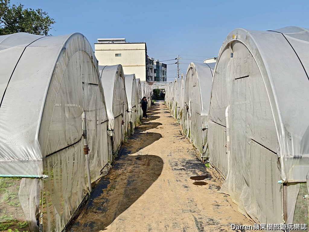 桃園草莓懶人包,桃園採草莓,中壢草莓農場,桃園親子採草莓推薦,中壢高架草莓農場,桃園智慧農業草莓,桃園草莓季景點,桃園草莓DIY體驗