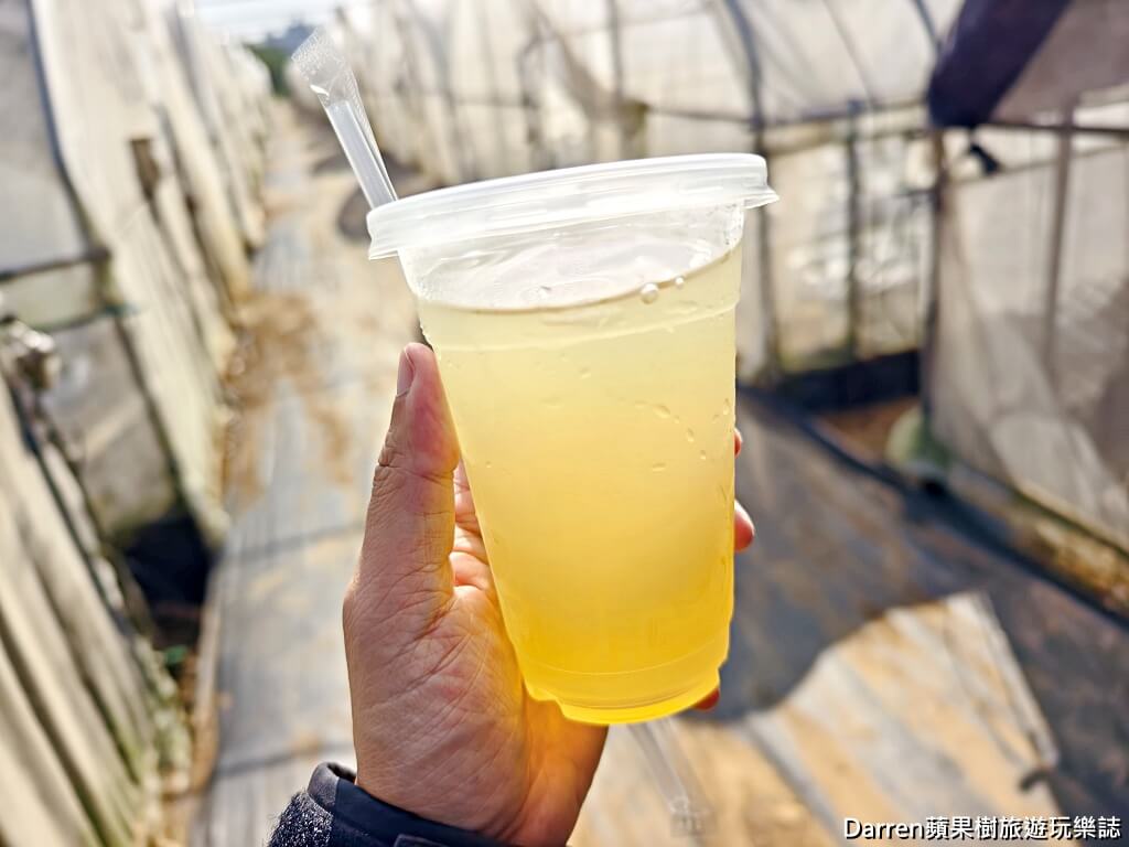 桃園草莓懶人包,桃園採草莓,中壢草莓農場,桃園親子採草莓推薦,中壢高架草莓農場,桃園智慧農業草莓,桃園草莓季景點,桃園草莓DIY體驗