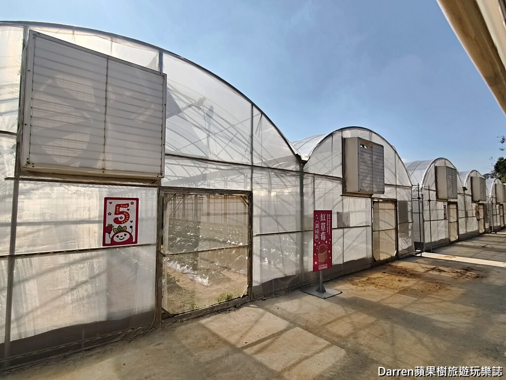 桃園草莓懶人包,桃園採草莓,中壢草莓農場,桃園親子採草莓推薦,中壢高架草莓農場,桃園智慧農業草莓,桃園草莓季景點,桃園草莓DIY體驗