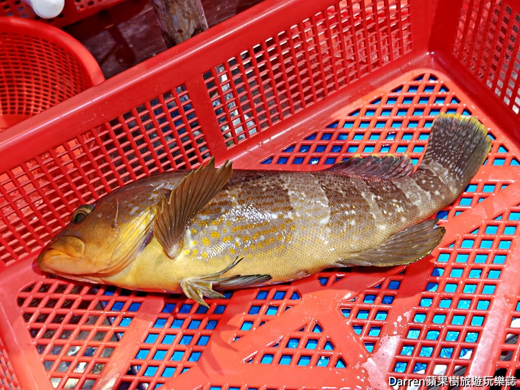 拿靠生猛海鮮,林口海鮮餐廳,林口活體海鮮,澎湖直送海鮮,林口美食推薦,林口美食餐廳