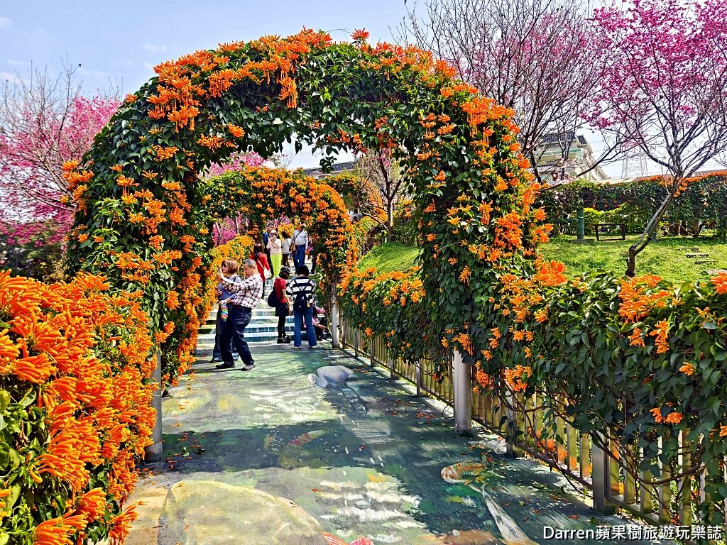 鶯歌永吉公園,永吉公園炮仗花隧道,鶯歌景點,鶯歌炮仗花,新北親子公園