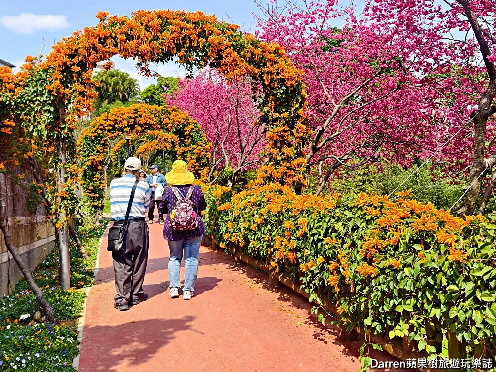 鶯歌永吉公園,永吉公園炮仗花隧道,鶯歌景點,鶯歌炮仗花,新北親子公園