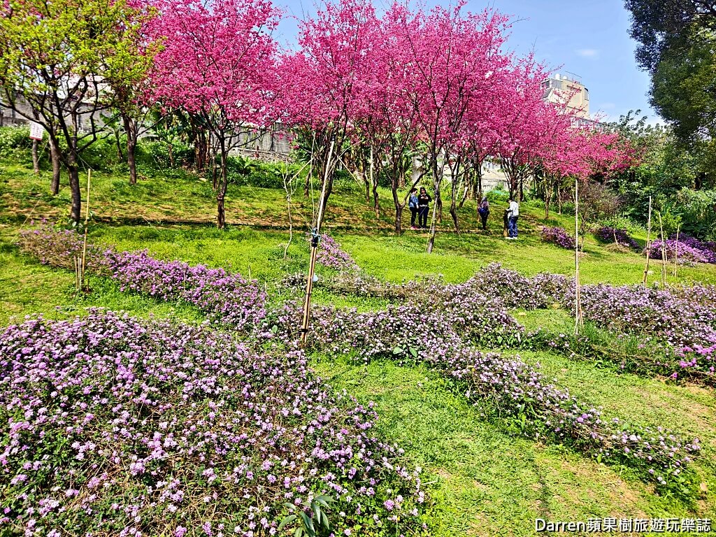 鶯歌永吉公園,永吉公園炮仗花隧道,鶯歌景點,鶯歌炮仗花,新北親子公園