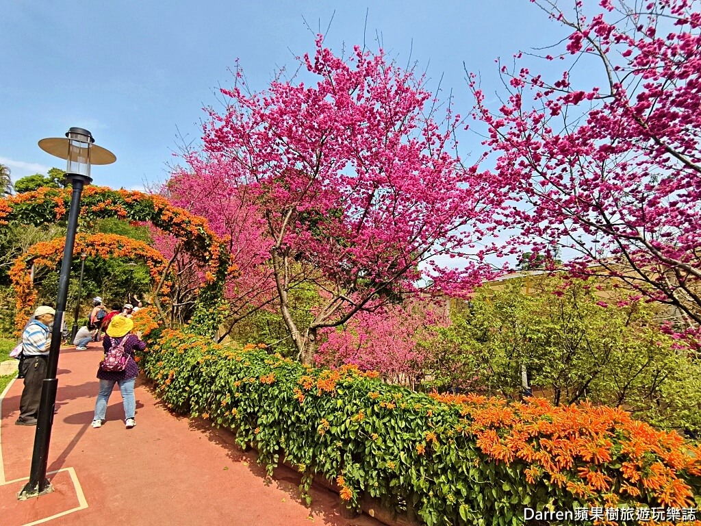 鶯歌永吉公園,永吉公園炮仗花隧道,鶯歌景點,鶯歌炮仗花,新北親子公園