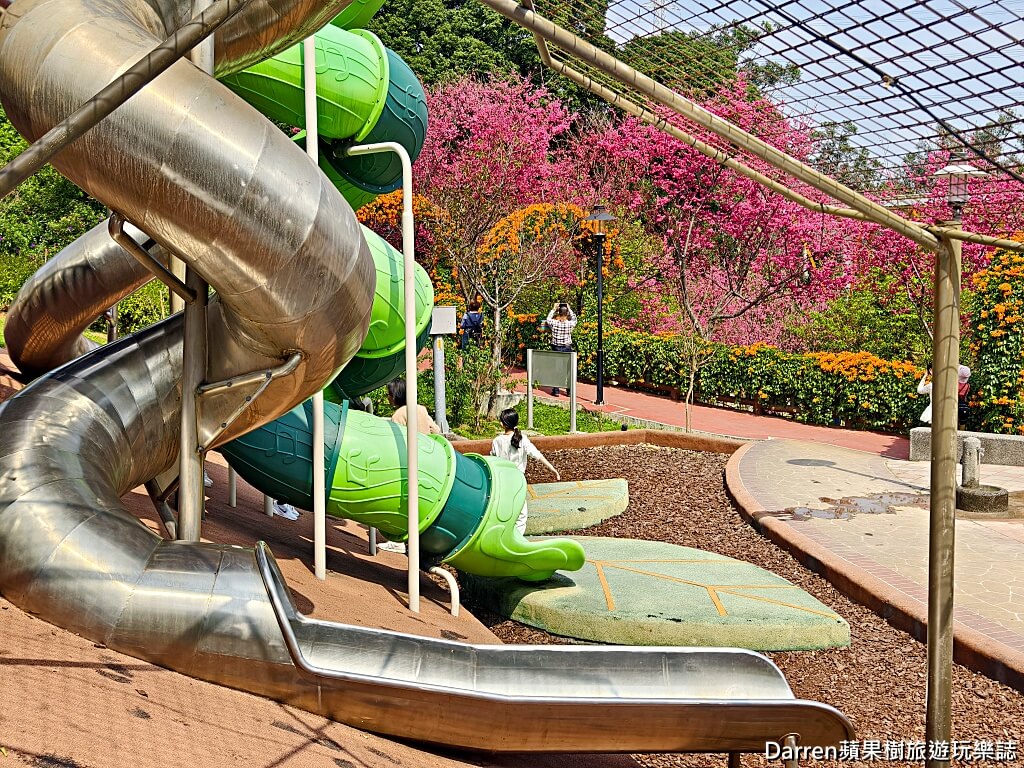 鶯歌永吉公園,永吉公園炮仗花隧道,鶯歌景點,鶯歌炮仗花,新北親子公園