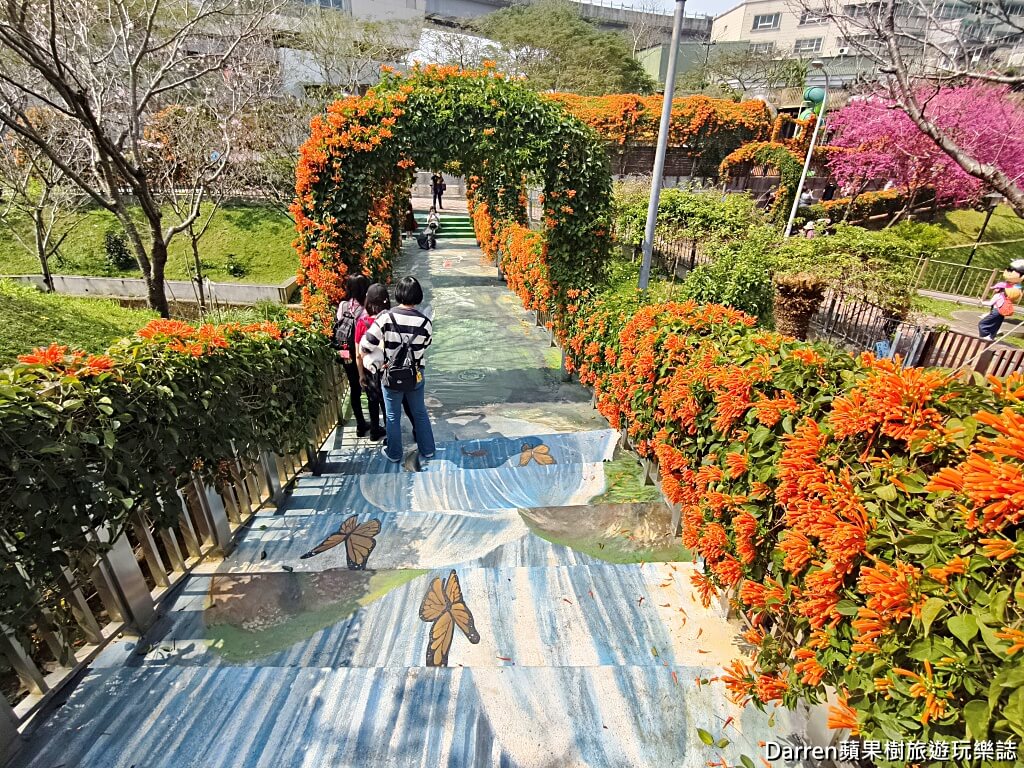 鶯歌永吉公園,永吉公園炮仗花隧道,鶯歌景點,鶯歌炮仗花,新北親子公園