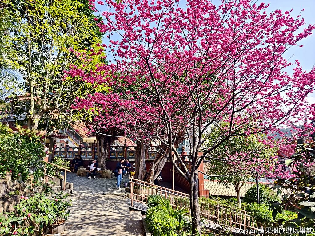 壽山巖觀音寺,桃園龜山景點,桃園拜拜推薦,桃園賞櫻秘境,龜山古蹟,桃園櫻花景點,求平安龜,桃園宗教景點