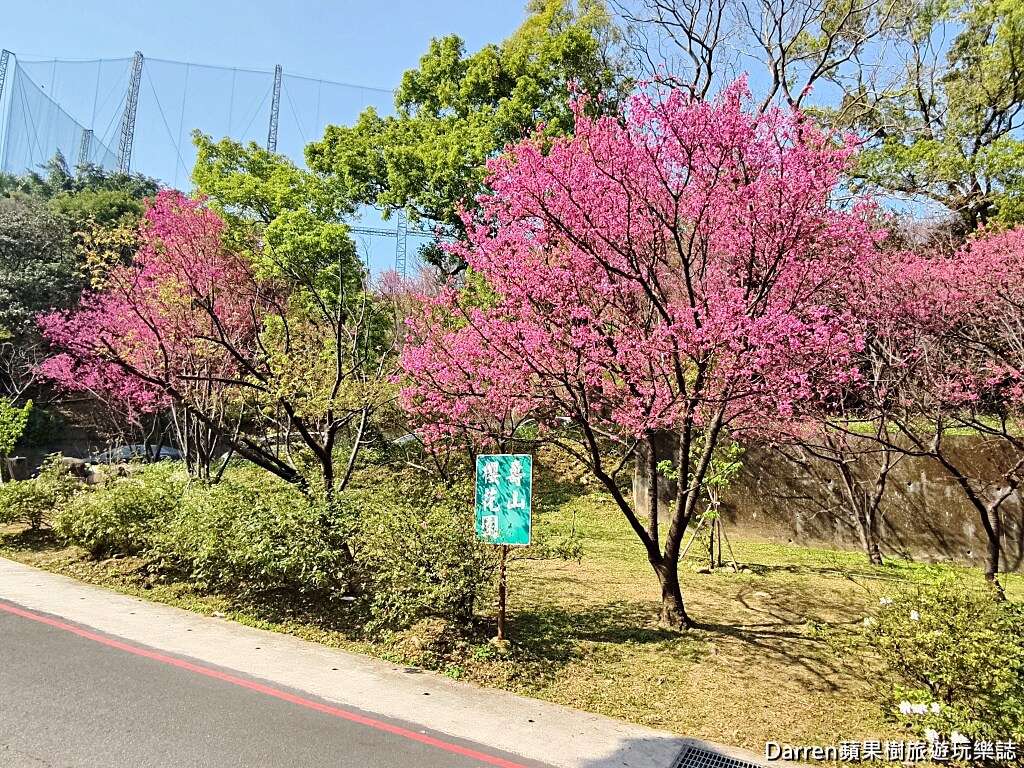 壽山巖觀音寺,桃園龜山景點,桃園拜拜推薦,桃園賞櫻秘境,龜山古蹟,桃園櫻花景點,求平安龜,桃園宗教景點