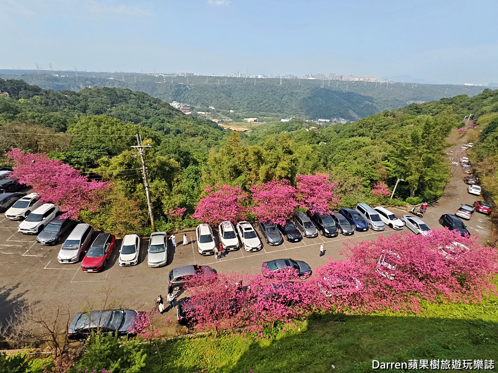 桃園龜山賞櫻,元德寶宮櫻花,龜山櫻花秘境,桃園賞櫻景點,八重櫻花況,桃園免費賞櫻景點