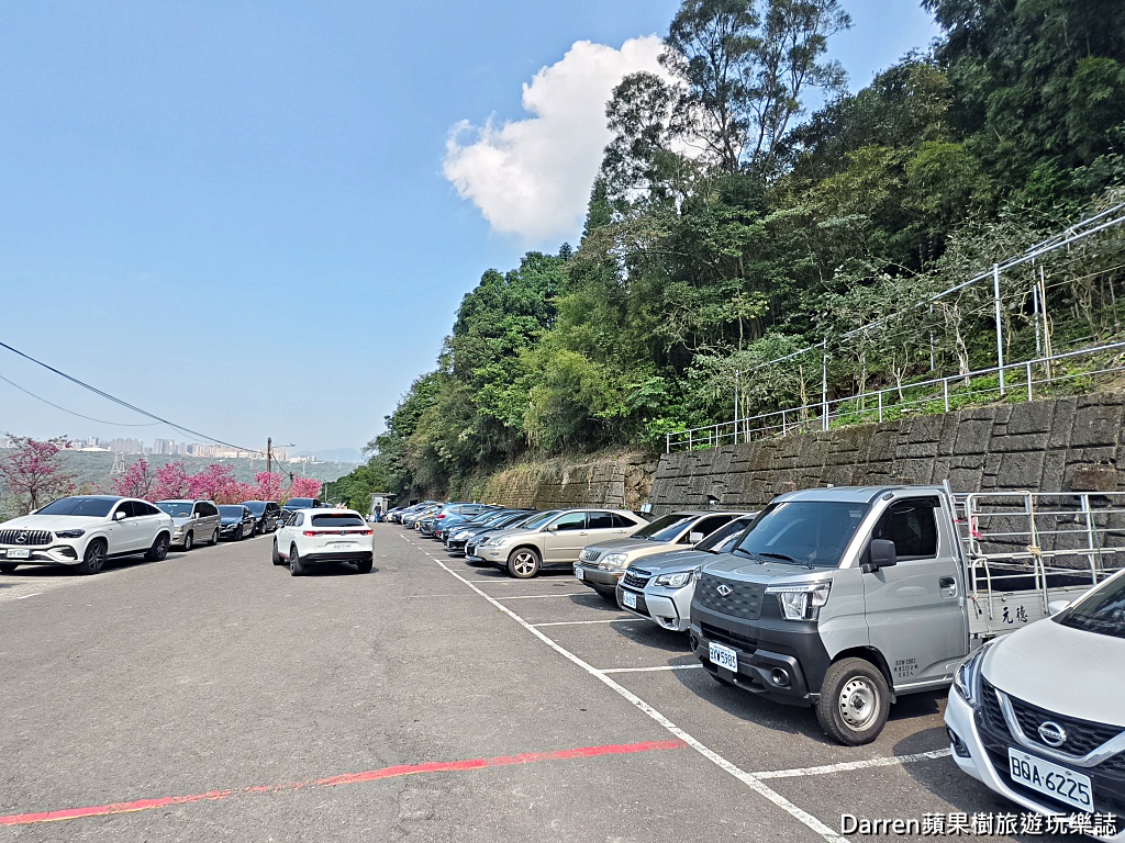 桃園龜山賞櫻,元德寶宮櫻花,龜山櫻花秘境,桃園賞櫻景點,八重櫻花況,桃園免費賞櫻景點