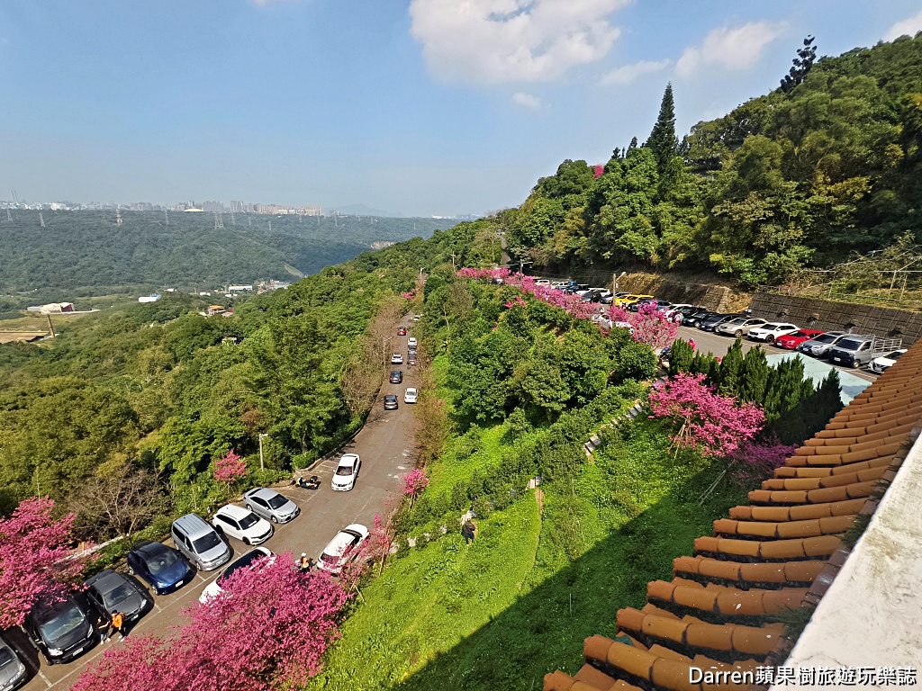 桃園龜山賞櫻,元德寶宮櫻花,龜山櫻花秘境,桃園賞櫻景點,八重櫻花況,桃園免費賞櫻景點