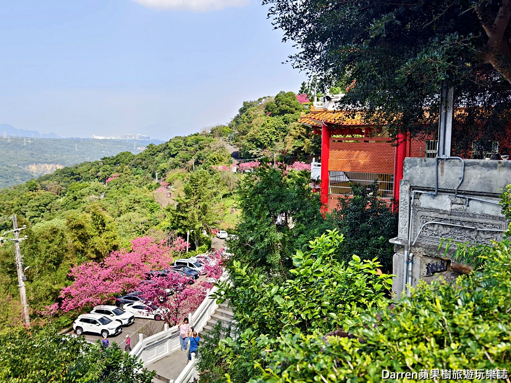 桃園龜山賞櫻,元德寶宮櫻花,龜山櫻花秘境,桃園賞櫻景點,八重櫻花況,桃園免費賞櫻景點
