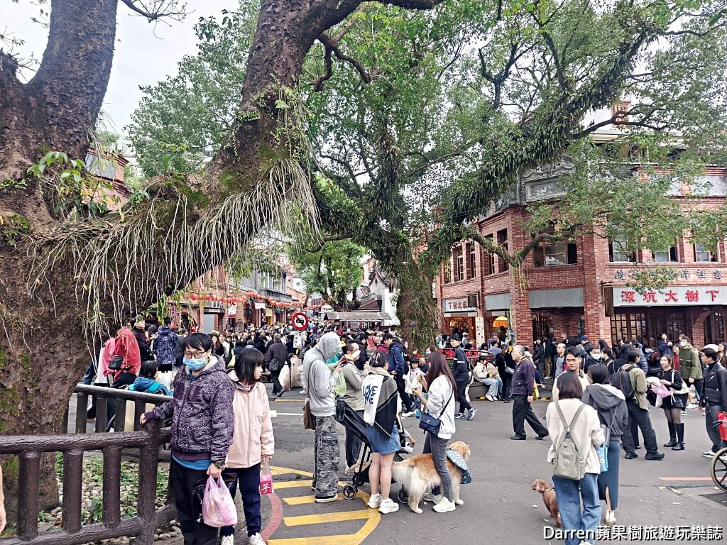 深坑老街美食,深坑臭豆腐,大樹下串燒臭豆腐,深坑必吃,深坑排隊美食,深坑素食美食,深坑碳烤臭豆腐