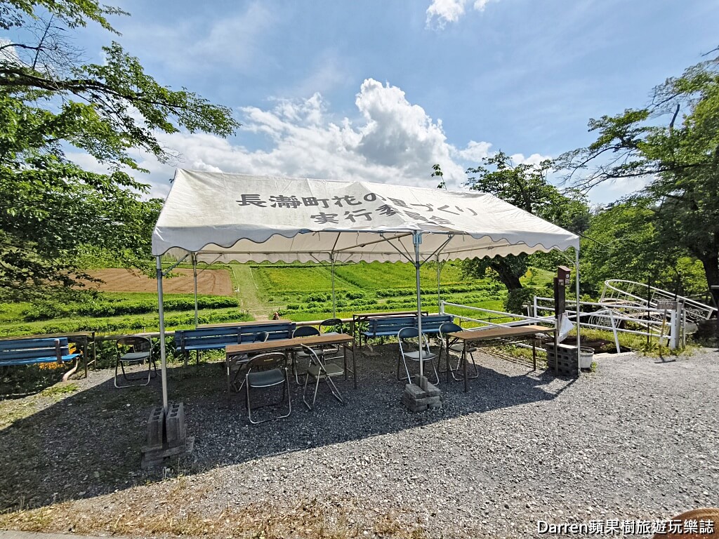 長瀞花の里,長瀞花菱草園,埼玉景點,長瀞景點,日本賞花景點,埼玉賞花,長瀞花海,花菱草園,日本花海景點,秩父景點,長瀞一日遊,長瀞自由行,長瀞站景點,加州罌粟花,日本初夏景點,日本花季推薦