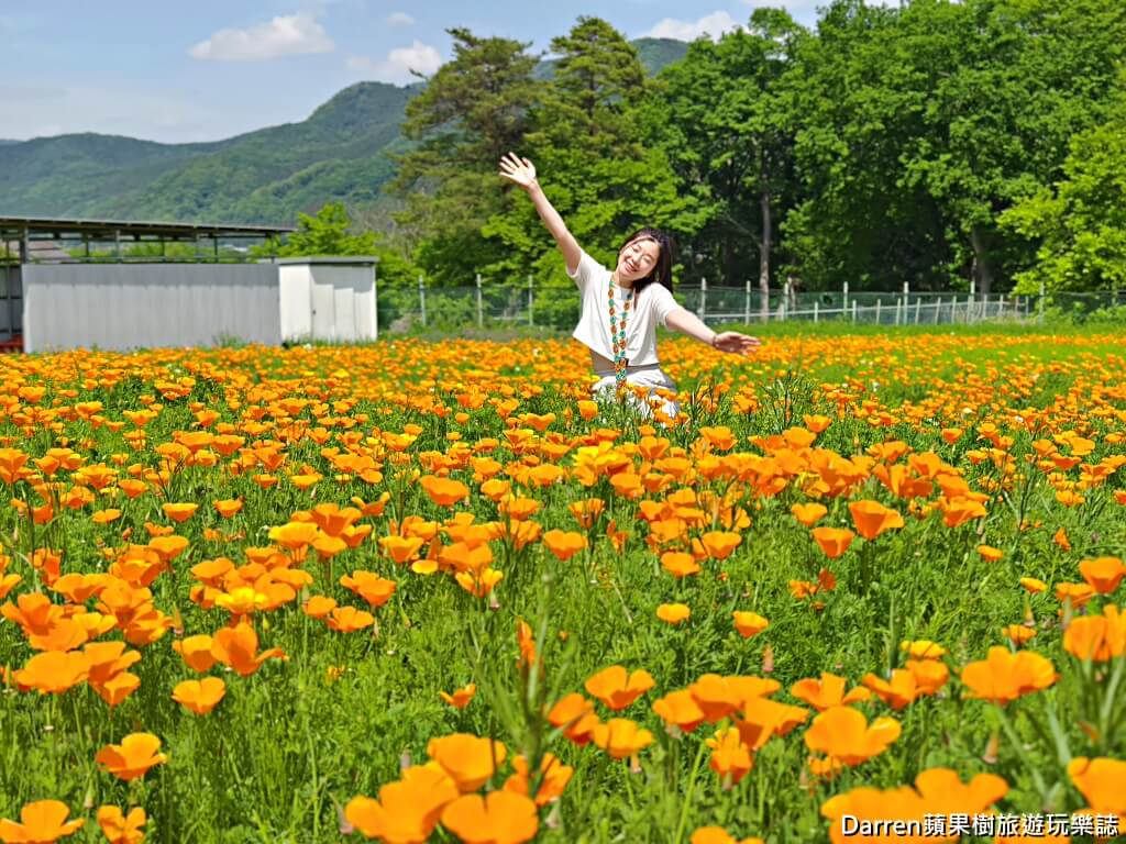 長瀞花の里,長瀞花菱草園,埼玉景點,長瀞景點,日本賞花景點,埼玉賞花,長瀞花海,花菱草園,日本花海景點,秩父景點,長瀞一日遊,長瀞自由行,長瀞站景點,加州罌粟花,日本初夏景點,日本花季推薦