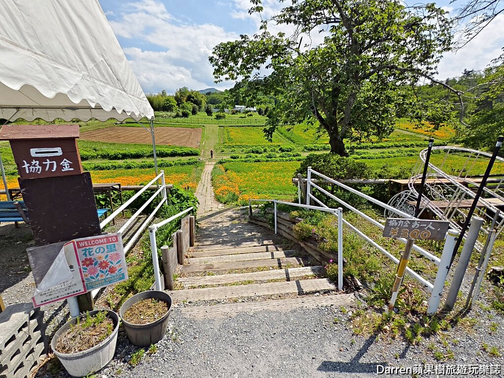 長瀞花の里,長瀞花菱草園,埼玉景點,長瀞景點,日本賞花景點,埼玉賞花,長瀞花海,花菱草園,日本花海景點,秩父景點,長瀞一日遊,長瀞自由行,長瀞站景點,加州罌粟花,日本初夏景點,日本花季推薦