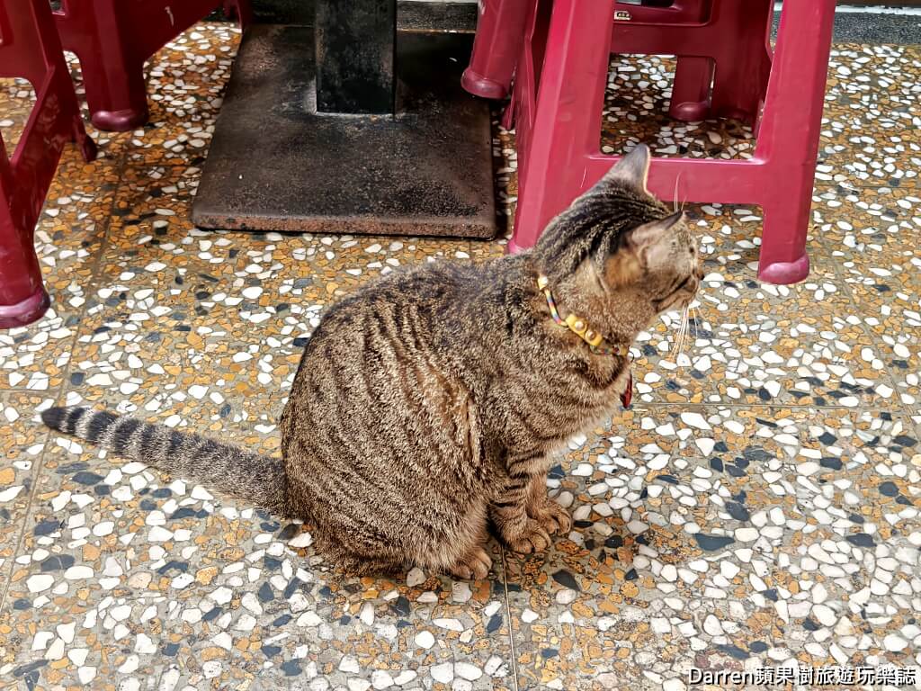 石頭肉圓,板橋美食,江子翠美食,板橋肉圓,江子翠站美食,板橋小吃,板橋老店
